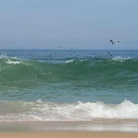 Casa Da Mata Semesterbostad