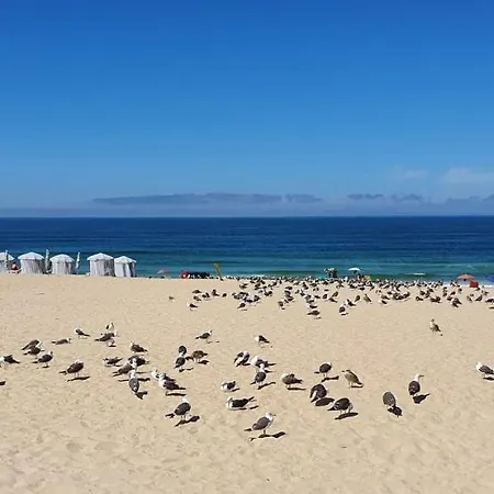 בית נופש Casa Da Mata *