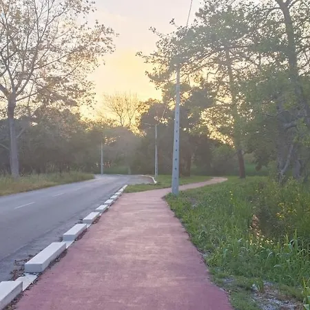 Casa Da Mata Tatil Evi