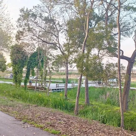 Casa Da Mata Tatil Evi