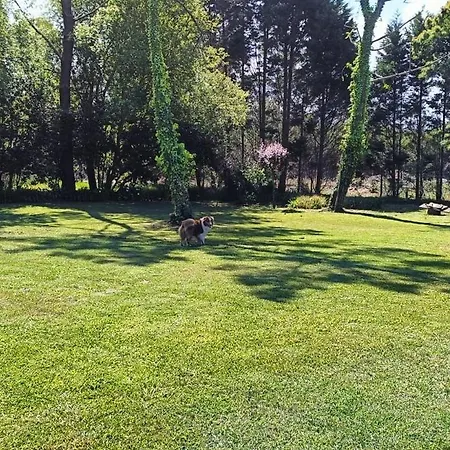 Casa Da Mata * פראיה דה מירה