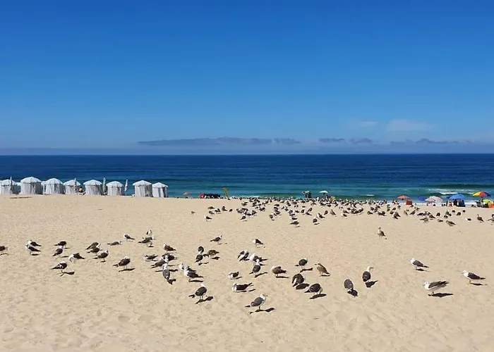 Casa de Férias Casa Da Mata *