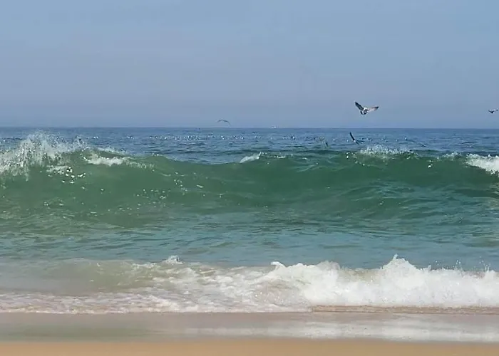 Casa Da Mata Casa de Férias